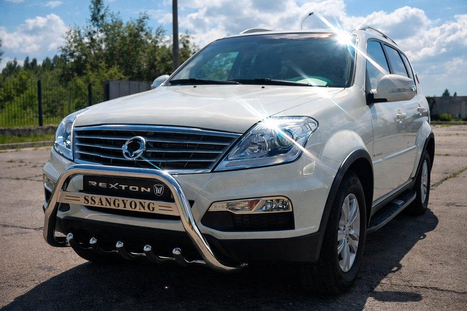 SsangYong Rexton I 2001-2017 Frontbügel WT004 Edelstahl Image
