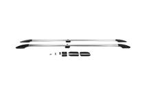 Ford Custom 2013-2022 Dachreling Chrom Foto 5