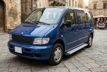 Mercedes Vito W638 1996-2003 Seitenschweller Maya V2 (2 Stk., Aluminium) Foto 1