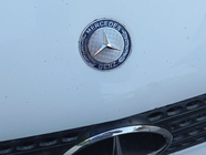 Mercedes Vito W639 2004-2014 Mercedes Stern für Motorhaube (Befestigung) Foto 2