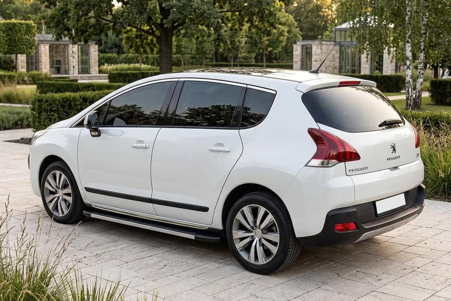 Peugeot 3008 2008-2016 Trittbretter Duru (2 Stk., Aluminium) 2014-2016 Image