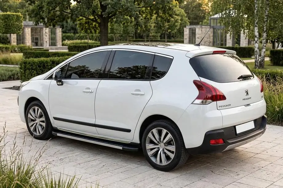 Peugeot 3008 2008-2016 Trittbretter Duru (2 Stk., Aluminium) Image
