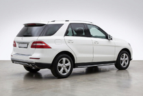 Mercedes GLE/ML class W166 2011-2018 Trittbretter Duru (2 Stk., Aluminium) Foto 1