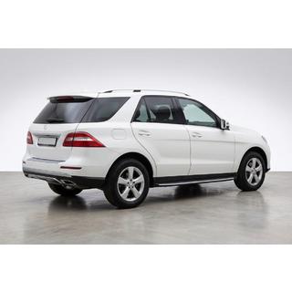 Trittbretter Duru (2 Stk., Aluminium) Mercedes GLE/ML class W166 2011-2018 Foto 1
