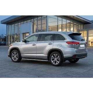 Seitenschweller Tayga Grey (2 Stk., Aluminium) Foto 1