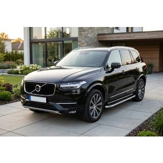 Seitenschweller Tayga Grey (2 Stk., Aluminium) Foto 1