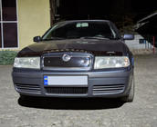 Skoda Octavia I Tour A4 1996-2010 Wintergrill (oben) Foto 6