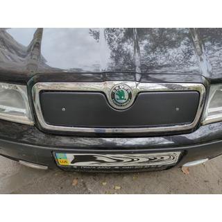 Wintergrill (oben) Skoda Octavia I Tour A4 1996-2010 Foto 2