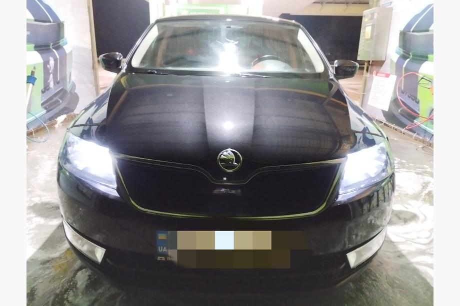 Skoda Rapid 2012-2019 Wintergrill (oben) Image