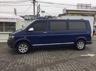 Volkswagen T6 2015-2024 Türleisten Edelstahl Chrom Foto 4