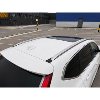 Integrierte Dachreling grau OEM (Aluminium, Schraubmontage) Foto 3