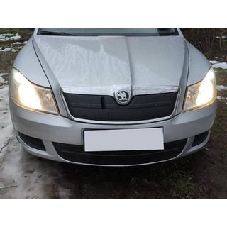 Winterabdeckung für Kühlergrill (oben) Foto 1