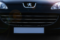 Peugeot 407 2004-2011 Chrom Kühlergrill Blenden (3 Stk, Edelstahl) Carmos - Türkischer Edelstahl Foto 1