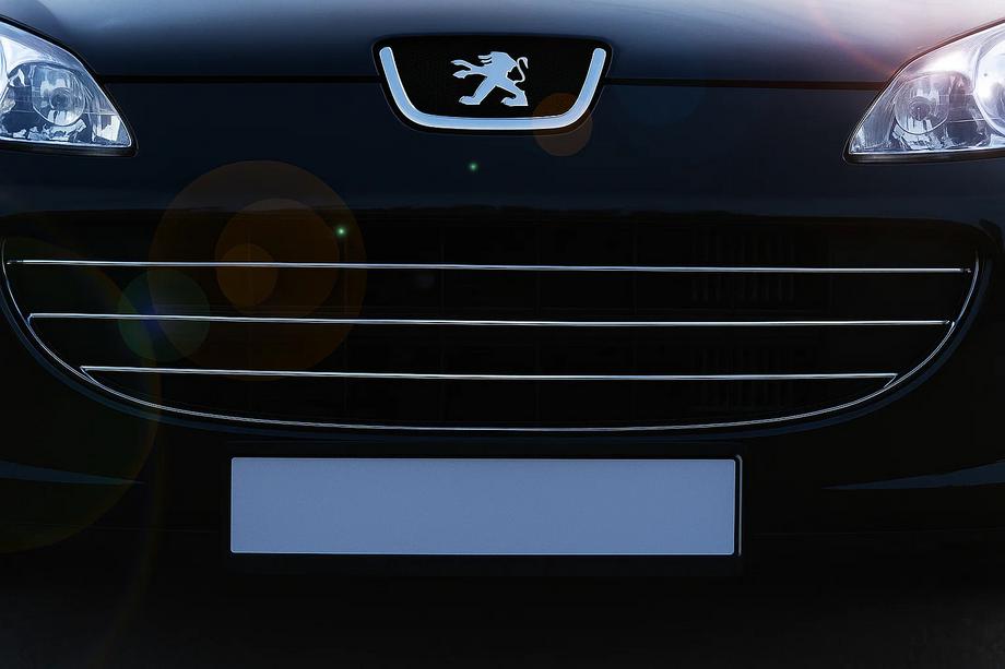 Peugeot 407 2004-2011 Chrom Kühlergrill Blenden (3 Stk, Edelstahl) Carmos - Türkischer Edelstahl Image
