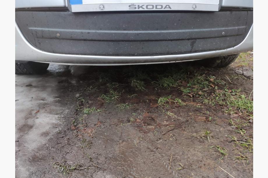 Skoda Octavia II A5 2010-2013 Winterabdeckung für Kühlergrill (unten) Image