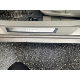 Einstiegsleisten Abdeckungen (4 Stk.) Foto 1