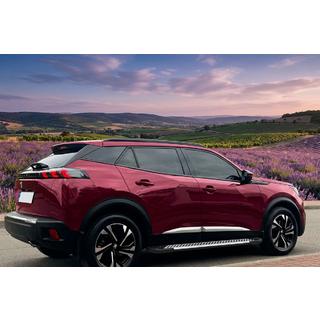 Trittbretter Line (2 Stk, Aluminium) Peugeot 3008 2016-2023 Foto 1