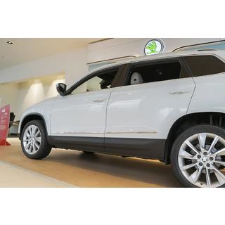 Türleisten Edelstahl Skoda Karoq 2018- Foto 1