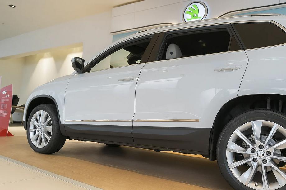 Skoda Karoq 2018- Türleisten Edelstahl Image