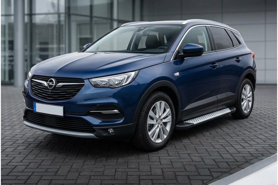 Opel Grandland X 2017- Seitenschweller Allmond Grey (2 Stk, Aluminium) Image