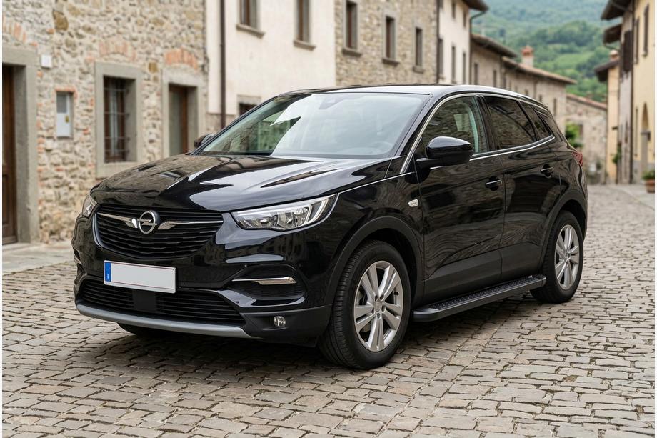 Opel Grandland X 2017- Seitenschweller Allmond Black (2 Stk, Aluminium) Image