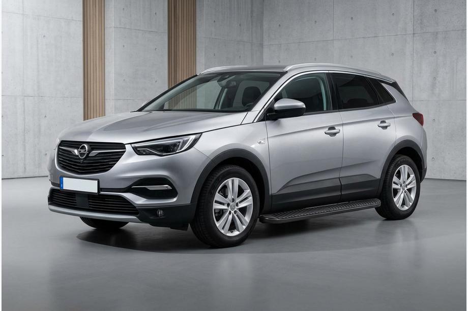 Opel Grandland X 2017- Seitenschweller Tayga Black (2 Stk, Aluminium) Image