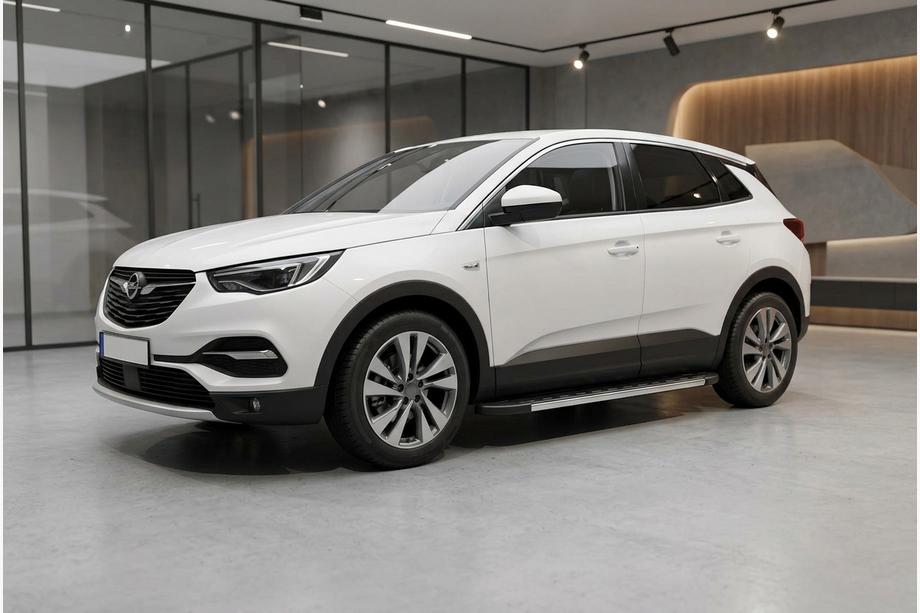 Opel Grandland X 2017- Trittbretter Duru (2 Stk., Aluminium) Image