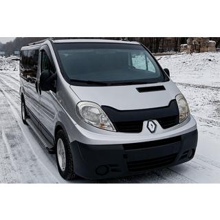 Trittbretter X5-Typ (2 Stk, Alu) Foto 2