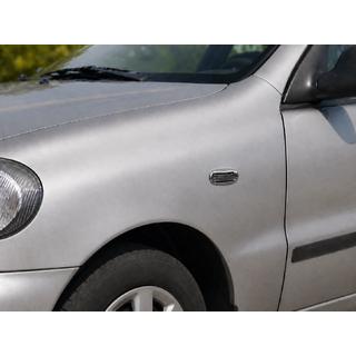 Grill für Blinker Oval (2 Stk, ABS) Daewoo Lanos 1998-2017 Foto 1