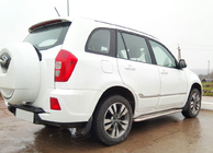 Chery Tiggo 3 2005- Seitenschweller Premium (2 Stk., Edelstahl) Ø60 Foto 2