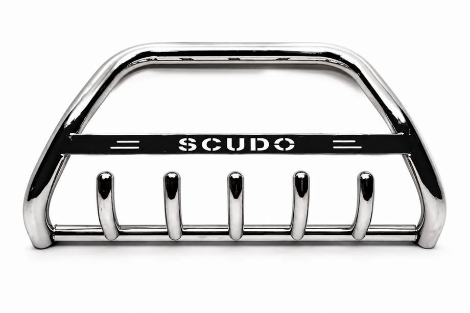 Fiat Scudo 1996-2007 Frontbügel WT004 Edelstahl Image