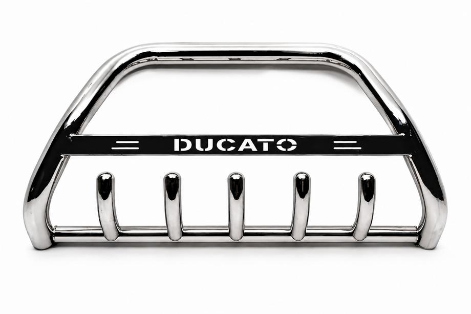 Fiat Ducato 2006-2025 Frontbügel WT004 Edelstahl Image