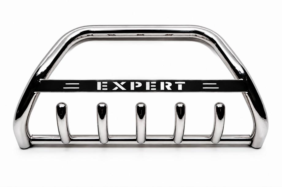 Peugeot Expert 1995-2007 Frontbügel WT004 Edelstahl Image