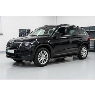 Seitenschweller Tayga Black (2 Stk., Aluminium) Foto 1