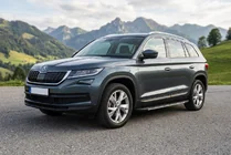 Skoda Kodiaq 2016-2023 Seitenschweller Bosphore Grey (2 Stk., Aluminium) Foto 1