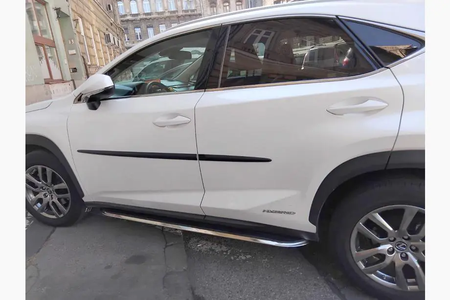 Lexus NX 2014-2021 Seitenschweller Original V2 (2 Stk) Image