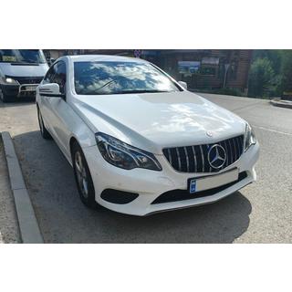 Frontgrill (2014-2016, GT Panamericana) Foto 4