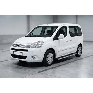 Seitenschweller Fullmond (2 Stk., Alu) Citroen Berlingo 2008-2018 Foto 1