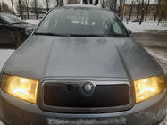 Skoda Fabia 2000-2007 Winterabdeckung für Kühlergrill Foto 1