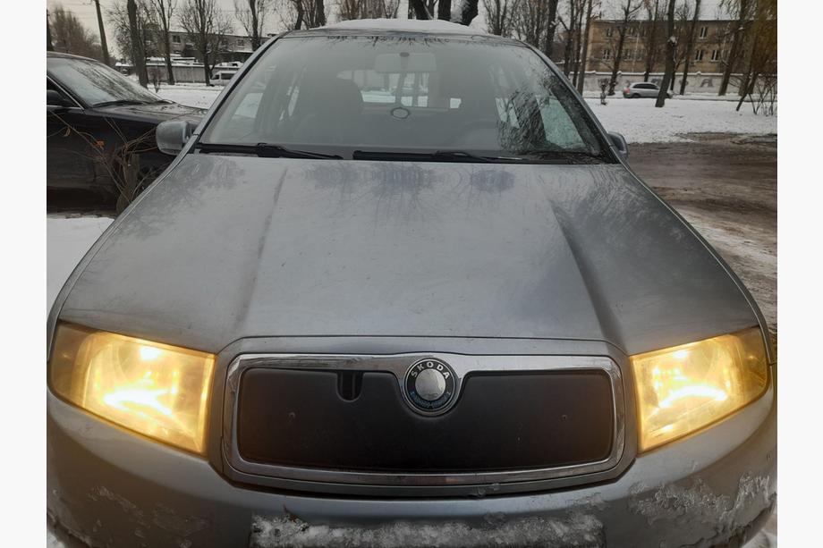Skoda Fabia 2000-2007 Winterabdeckung für Kühlergrill Image