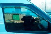Fiat Doblo II 2010-2022 Windabweiser (2 Stk, HIC) Foto 9