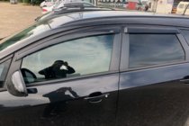 Opel Astra J 2009-2015 Windabweiser HB (4 Stk, HIC) Foto 7