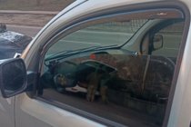 Renault Kangoo 2008–2020 Windabweiser zum Einstecken (2 Stk, HIC) Foto 10