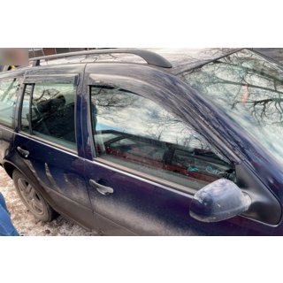 Windabweiser Variant (4 Stk, HIC) Volkswagen Golf 4 1997-2006 Foto 2