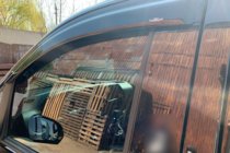 Mercedes Vito/V-class W447 2014- Windabweiser (2 Stk, HIC) Foto 11