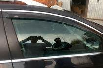 Volkswagen Passat B7 2012-2015 Windabweiser mit Chromleisten SW (4 Stk, EU, HIC) Foto 9