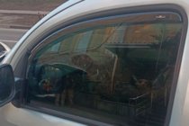 Mercedes Citan 2013-2021 Windabweiser zum Einstecken (2 Stk, HIC) Foto 9