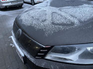 Volkswagen Passat B7 2012-2015 Wintergrill (EU/USA) Matt Foto 4