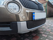 Skoda Yeti 2009-2017 Winterabdeckung für Kühlergrill (unten, 2009-2013) Glänzend Foto 3