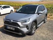 Toyota Rav 4 2019–2025 Trittbretter Allmond Grey (2 Stk., Aluminium) Foto 6